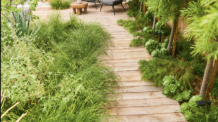 A wooden boardwalk winds through lush greenery in a garden. The path leads to a small seating area with two chairs and a round wooden table. Various plants, including tall grasses and leafy shrubs, border the walkway, creating a natural, accessible pathway. In the background, a glimpse of a building with large windows can be seen, suggesting this is part of a residential garden design.